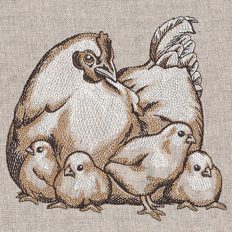 Mother Hen and Chicks Etching