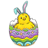 Hatched for Easter- Baby Chick