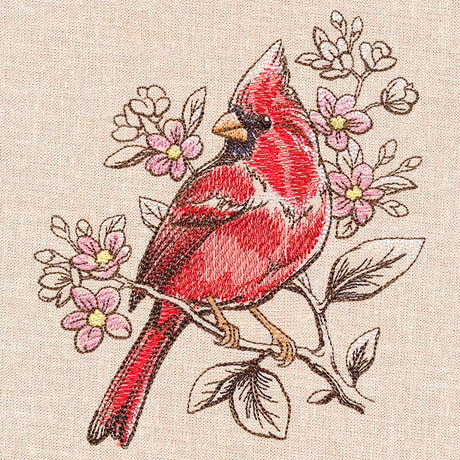 Birds and Blooms - Cardinal