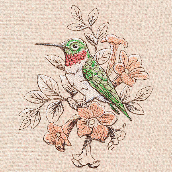Birds and Blooms - Hummingbird