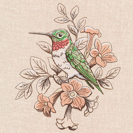 Birds and Blooms - Hummingbird