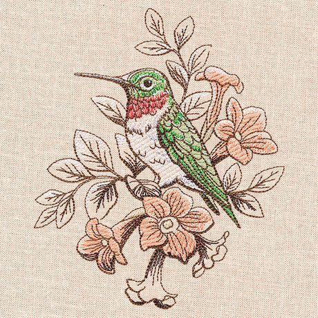 Birds and Blooms - Hummingbird