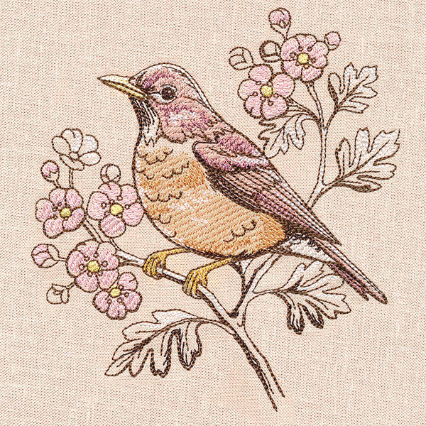 Birds and Blooms - Robin