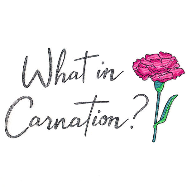 What in Carnation?