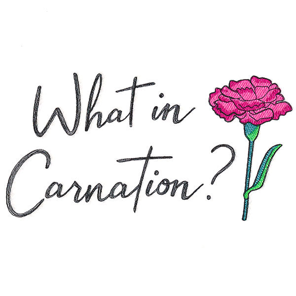 What in Carnation?