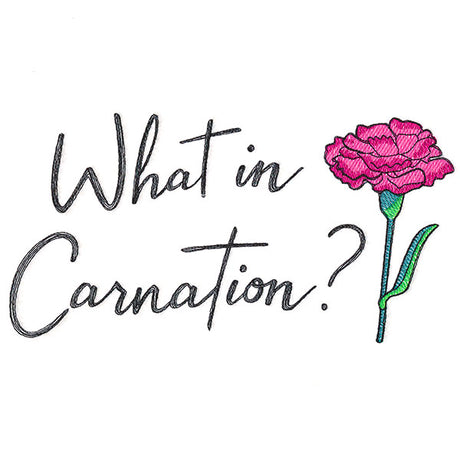 What in Carnation?
