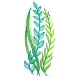 Lovely Ferns and Botanicals