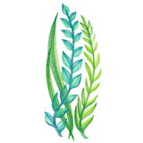 Lovely Ferns and Botanicals