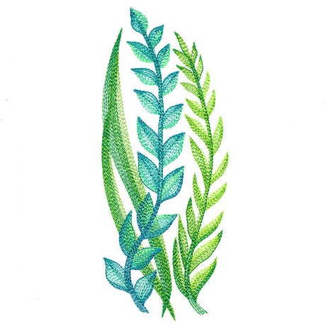 Lovely Ferns and Botanicals