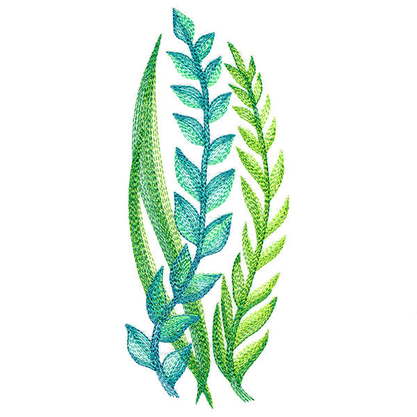 Lovely Ferns and Botanicals