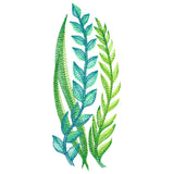 Lovely Ferns and Botanicals