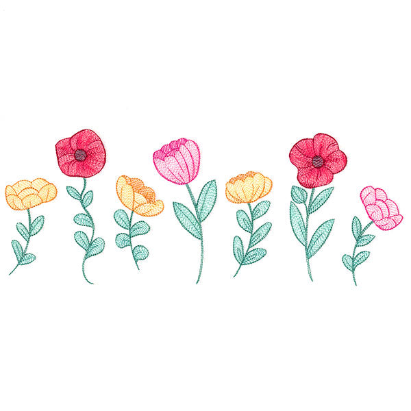 Poppy Flowers in Bloom Border