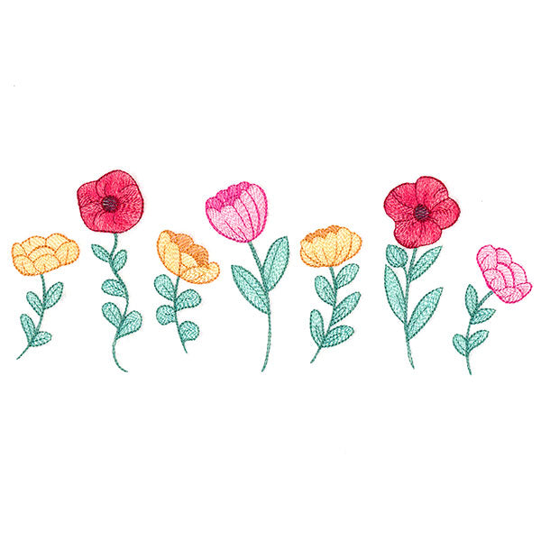 Poppy Flowers in Bloom Border