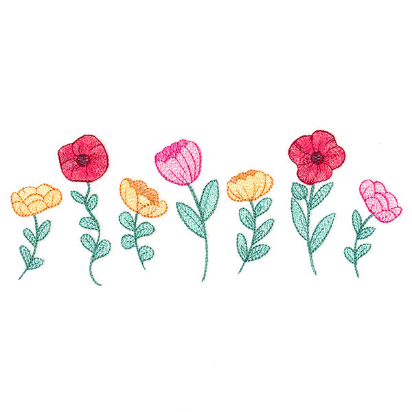 Poppy Flowers in Bloom Border