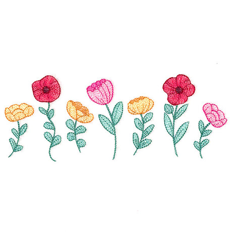 Poppy Flowers in Bloom Border