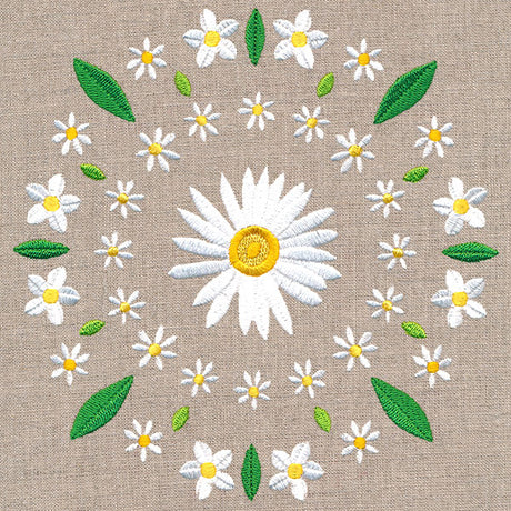 Daisy Kaleidoscope