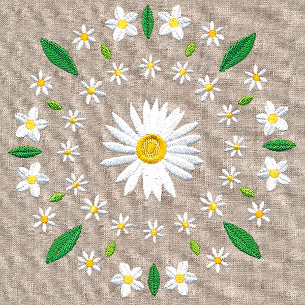 Daisy Kaleidoscope