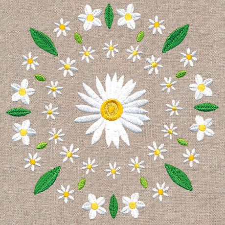 Daisy Kaleidoscope