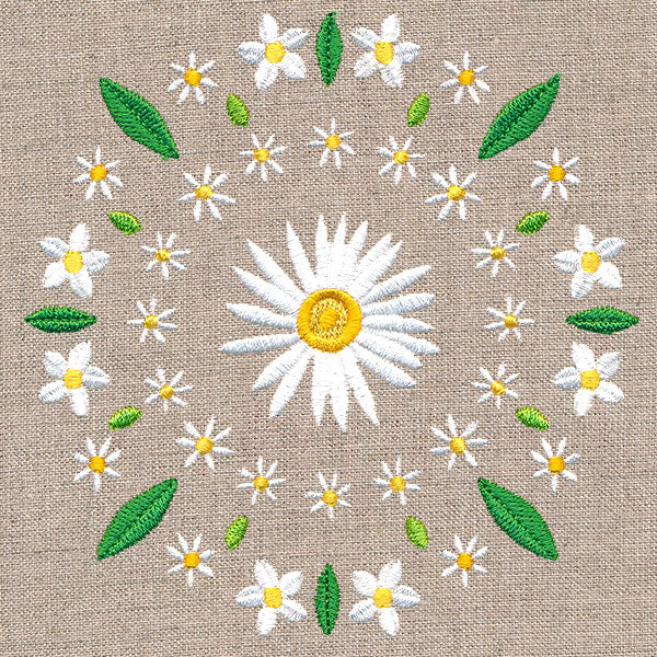 Daisy Kaleidoscope
