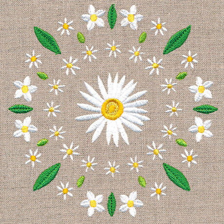 Daisy Kaleidoscope