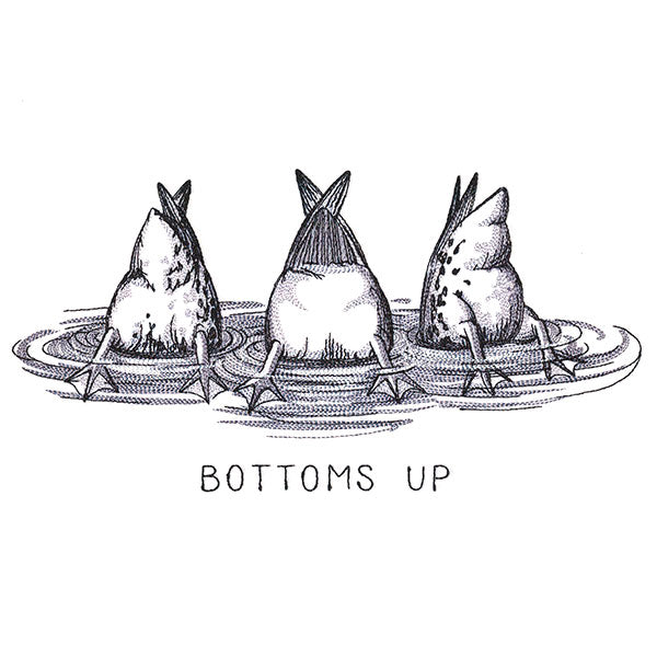 Bottoms Up Duck Butt Trio