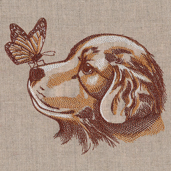 Perfectly Poised Monarch and Puppy