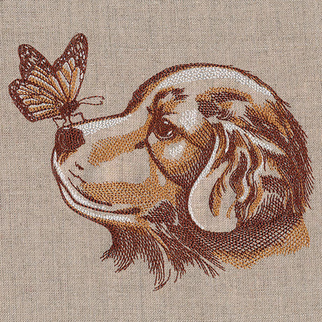 Perfectly Poised Monarch and Puppy