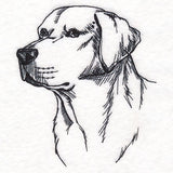 Labrador Retriever Portrait Etching