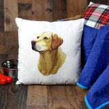 Labrador Retriever Portrait