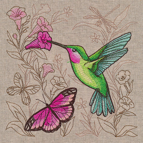 Hummingbird Dreams Medley