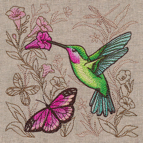 Hummingbird Dreams Medley