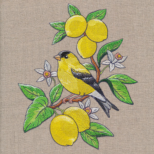 Glorious Goldfinch and Lemons