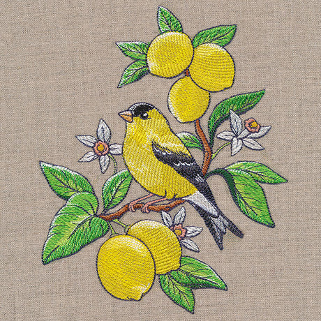 Glorious Goldfinch and Lemons