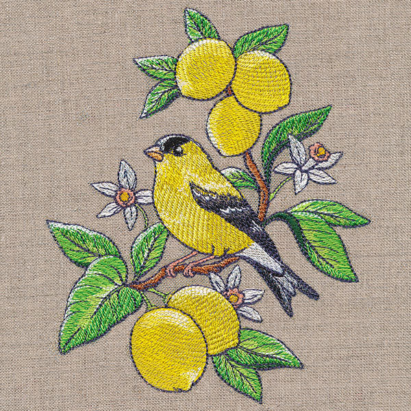 Glorious Goldfinch and Lemons