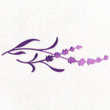 Farmhouse Lavender Border