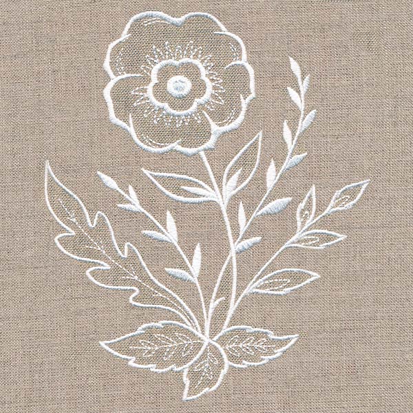 Wild Anemone Accent (Whitework)
