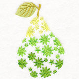 Floral Fruit - Pear