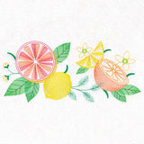 Citrus Splash Border