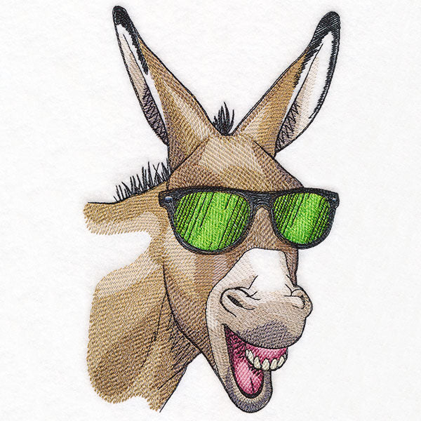 Sunshine and Sunglasses Donkey