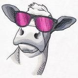 Sunshine and Sunglasses Cow