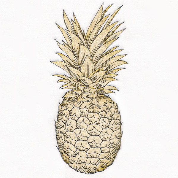 Glorious and Golden Pineapple Etching