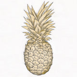 Glorious and Golden Pineapple Etching