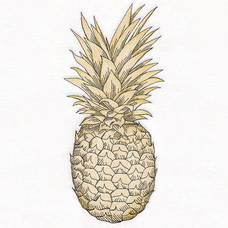 Glorious and Golden Pineapple Etching