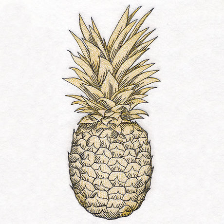 Glorious and Golden Pineapple Etching