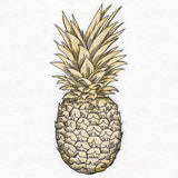 Glorious and Golden Pineapple Etching