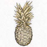 Glorious and Golden Pineapple Etching