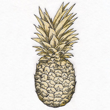 Glorious and Golden Pineapple Etching