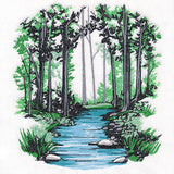 Through the Woods Creek Scene