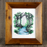 Through the Woods Creek Scene