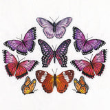 Butterflies of the Forest Kaleidoscope
